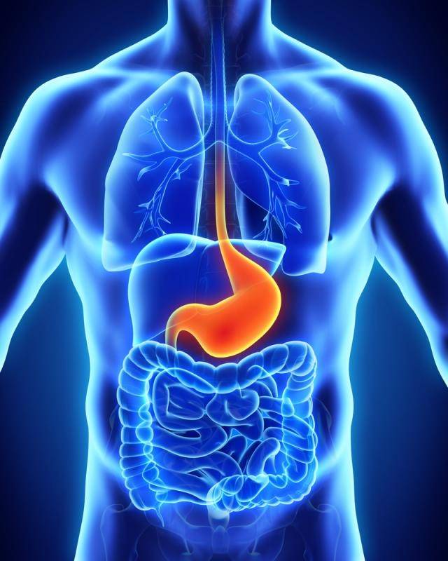 Symptômes précoces du cancer de l’estomac : vous pouvez également le confondre avec des problèmes de digestion